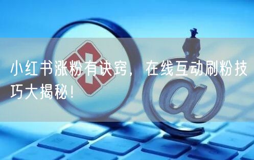 小红书涨粉有诀窍,在线互动刷粉技巧大揭秘!