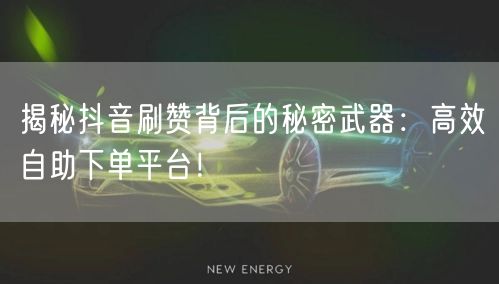 揭秘抖音刷赞背后的秘密武器：高效自助下单平台！