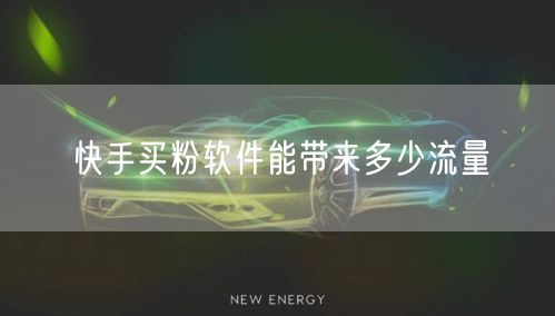 快手买粉软件能带来多少流量