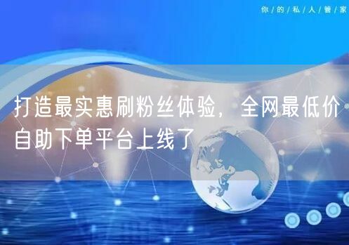 打造最实惠刷粉丝体验，全网最低价自助下单平台上线了