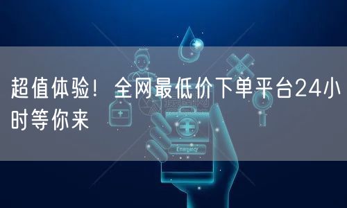 超值体验！全网最低价下单平台24小时等你来