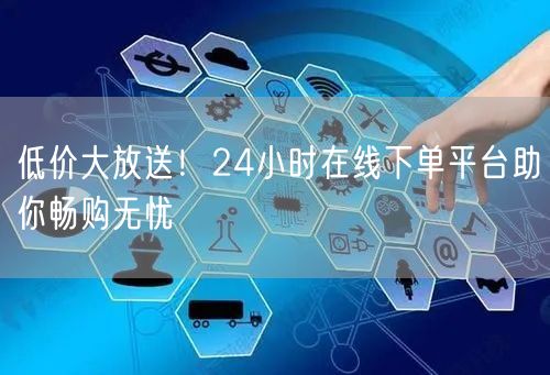 低价大放送！24小时在线下单平台助你畅购无忧