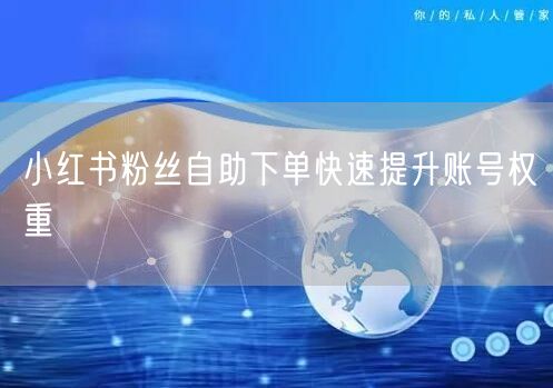 小红书粉丝自助下单快速提升账号权重