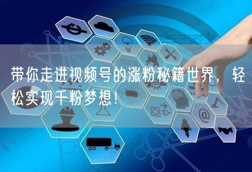 带你走进视频号的涨粉秘籍世界，轻松实现千粉梦想！