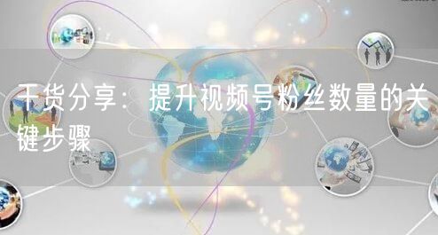 干货分享：提升视频号粉丝数量的关键步骤